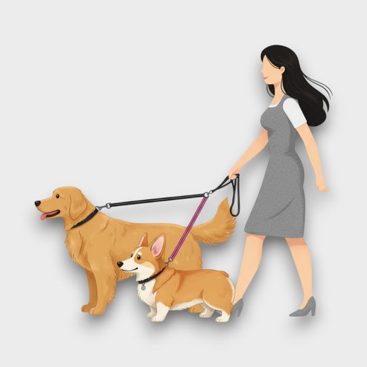 Correa Doble Premium: La Solución para Pasear a 2 Perros sin Estrés