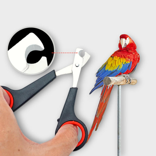 Cortauñas Profesional Para Perros, Gatos y Aves