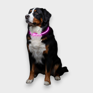 Collar LED de Seguridad - Recargable por USB - 500m