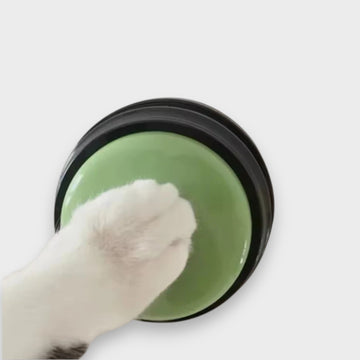 La Voz de tu Mascota: Enseña a tu Perro a "Hablar" con Botones de Comunicación