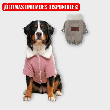 Ropa de Invierno Premium