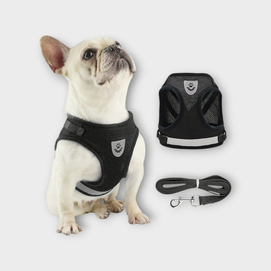 Kit Arnés Transpirable para Perros con Correa Ajustable