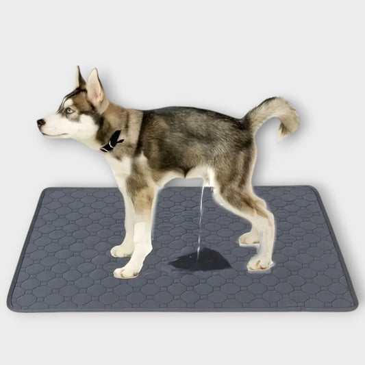 Alfombrilla higiénica Lavable Premium, Reutilizable e Impermeable