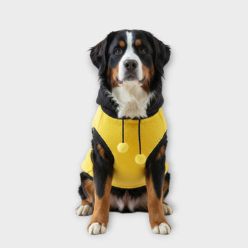 Ropa Temática de Abejas